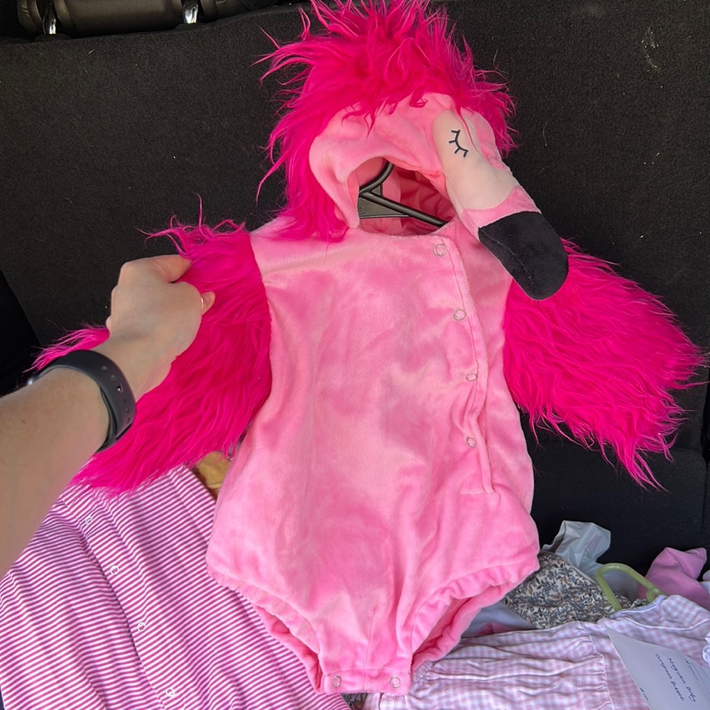 Pottery Barn Flamingo Halloween Costume